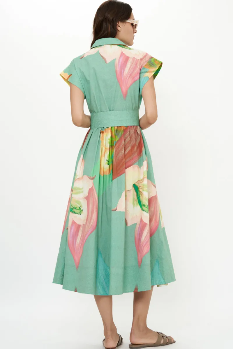 Oliphant Belted Shirt Dress- Hibiscus Sage